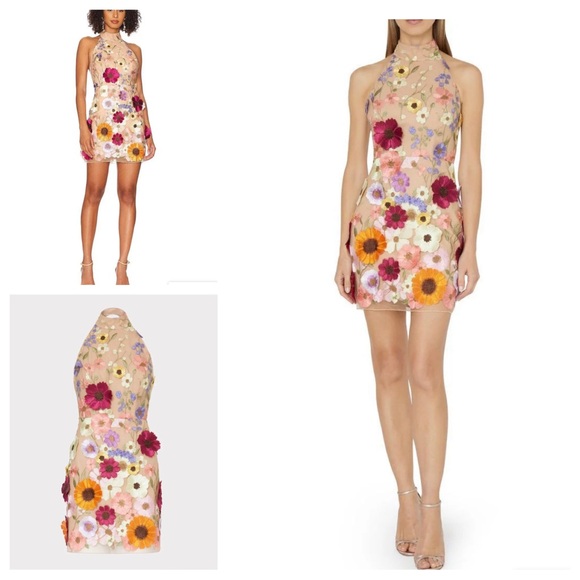 NWT 3-Dimensional Embroidered Floral Sheer Halter Mini Dress Sz: XS - Picture 1 of 16